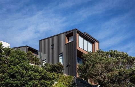 Palliser Road Houses by Kerr Ritchie | ArchiPro NZ