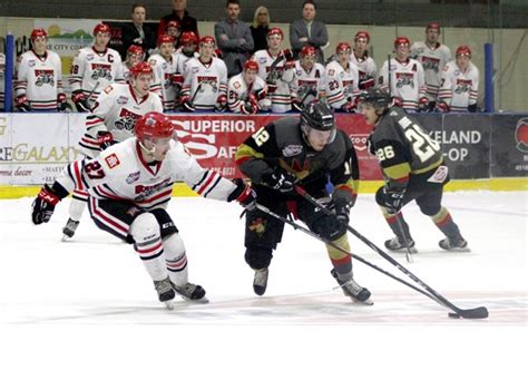 Pontiacs Bounce Back Lakeland News