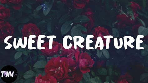 Harry Styles Sweet Creature Lyrics Youtube