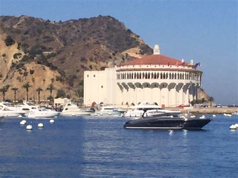 Exploring Santa Catalina Island - Purple Light Vacations