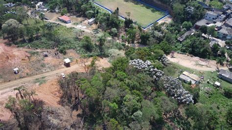 Parque Das Nascentes Em Cotia Est Sofrendo O Desmatamento E A