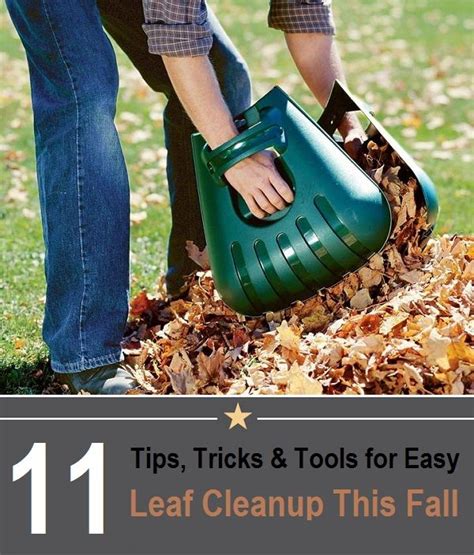 11 Tips Tricks And Tools For Easier Leaf Cleanup This Fall Garden Tools Cool Inventions