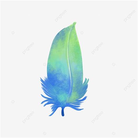 Pluma De Acuarela Pintada A Mano De Dibujos Animados Png Dibujos