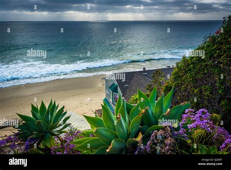 Garden And House Overlooking The Pacific Ocean In Laguna Beach