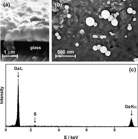 Sem Micrographs Secondary Electrons Of Gold Surface With Gallium