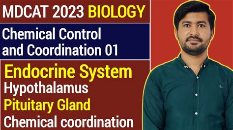 Chemical Coordination And Integration Class 12 Endocrinology