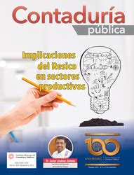 Revista Contadur A P Blica Noviembre Ebooks Imcp