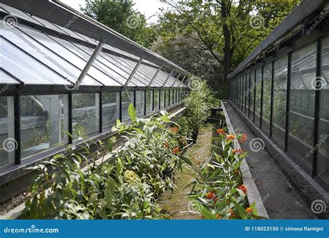 View of Amsterdam Botanical Garden Editorial Image - Image of botanical ...