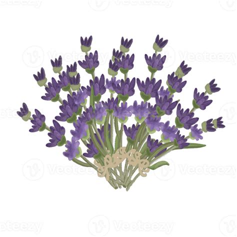 Watercolor Lavender Flower Wreath 24786430 Png