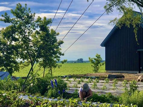 12 Best Farm To Table Restaurants Near Montreal To Eat In Season