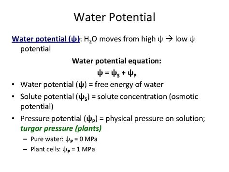 Understanding Water Potential Water Potential Water Potential H