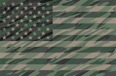 Patriotic Jungle Green Camo Usa Flag Vector Illustration Vector