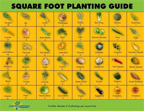 Square Foot Gardening Chart Pdf