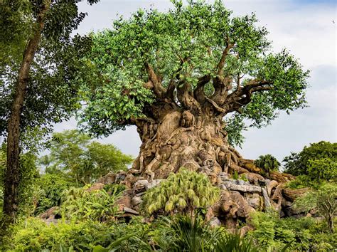 Find out about the best parks in 32218 3