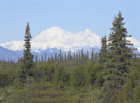 Denali2023 08 150373 Denali Also Known As Mount Mckinl Flickr