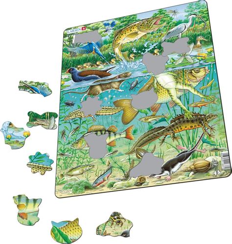 FH19 - European Aquatic Pond Ecosystem :: Animals :: Puzzles :: Larsen ...