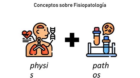 Solution Tema Aldohern Ndezsantiago Fisiopatolog A Studypool