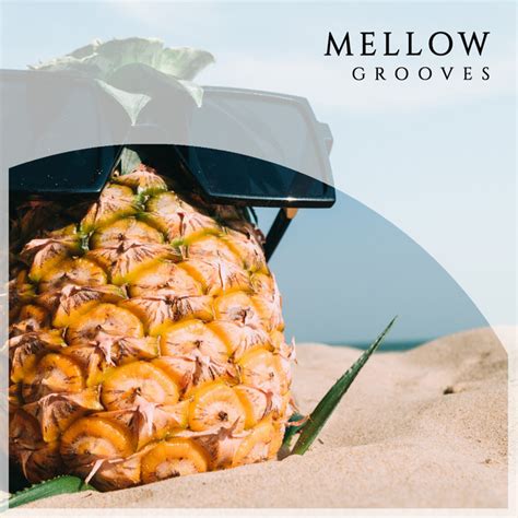 Mellow Chill Grooves Album By Chill Out Beach Party Ibiza Spotify