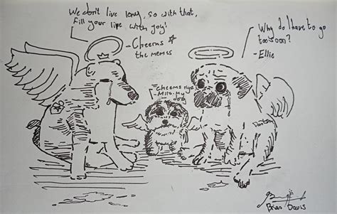 Ellie And Friends In The Heaven Rdantdm