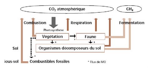 Figure 1 3 from Caractérisation expérimentale et modélisation des