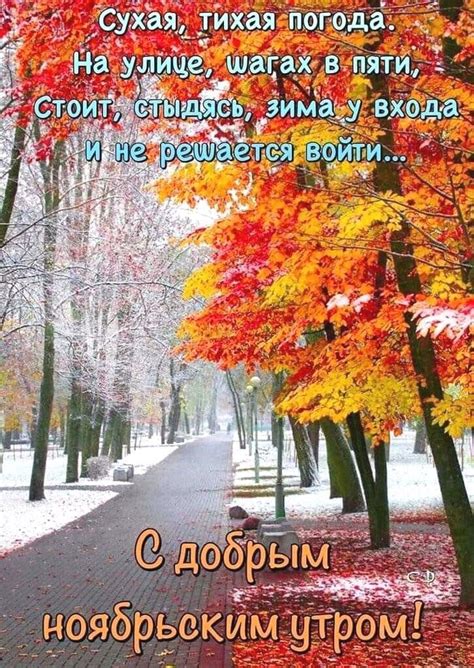 Доброе утро☀️🍂 ️ | Beautiful nature, Scenery, Nature