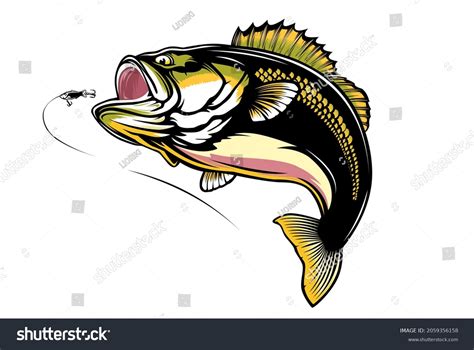 Bass Jumping Out Of Water Images Stock Photos Vectors