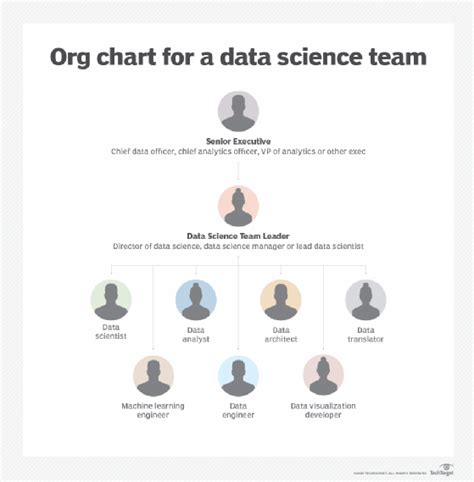 How To Structure And Manage A Data Science Team