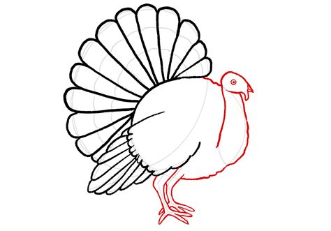 How To Draw A Turkey Design School