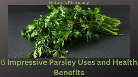 4 Impressive Parsley Uses And Health Benefits Youtube