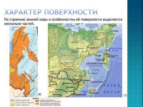 PPT - Особенности природы Дальнего Востока PowerPoint Presentation - ID ...