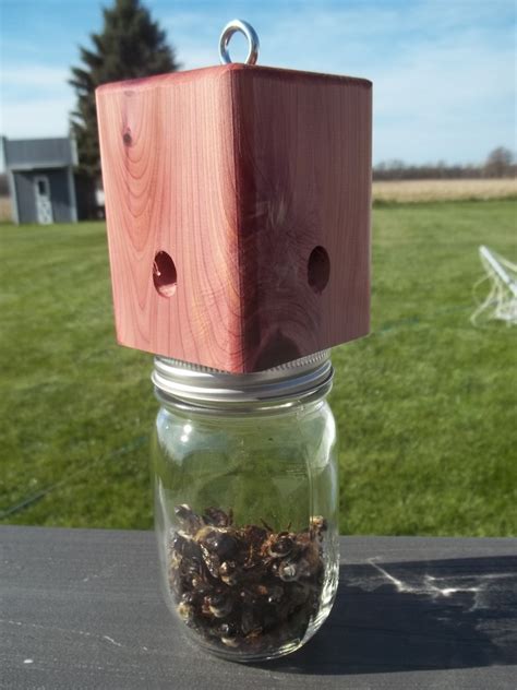 Diy Carpenter Bee Trap X How To Build A Carpenter Bee Trap