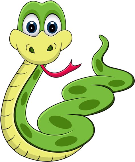 Vector Anaconda Png Transparent Image