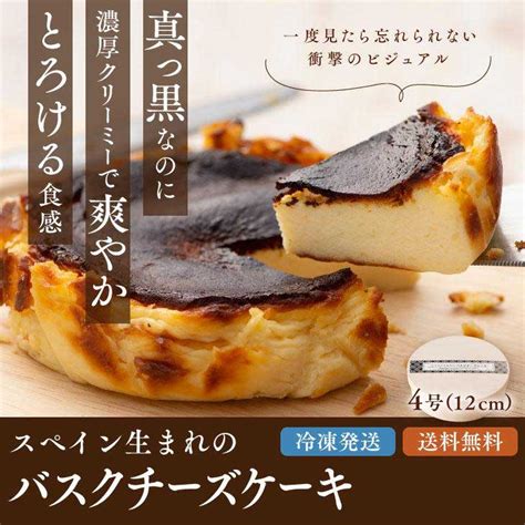 【送料無料】 スペイン生まれのバスクチーズケーキ