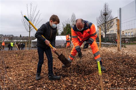 Une micro forêt en cœur de ville Ville de Blois