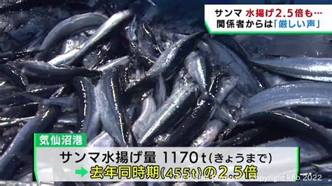 宮城・気仙沼港サンマの水揚げ前年2．5倍も4年前の10分の1 Khb東日本放送