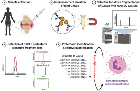 Frontiers From ELISA To Immunosorbent Tandem Mass Spectrometry