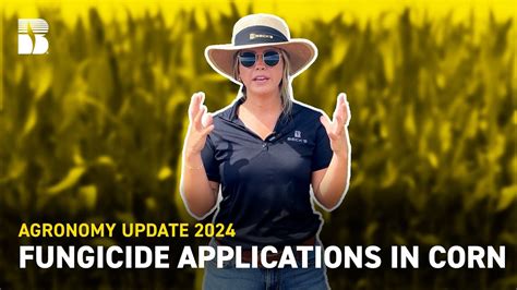 Fungicide Applications In Corn Beck S Agronomy Update Youtube