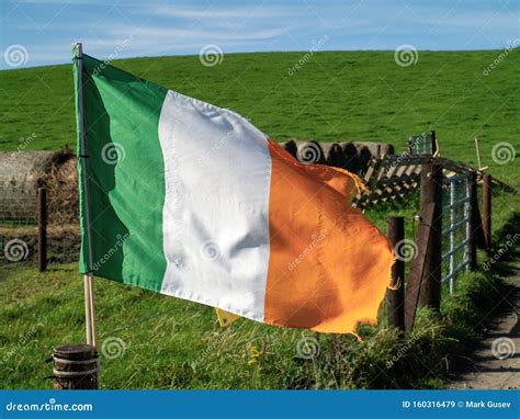 Irish National Flag In A Field Green Grass Field In The Background