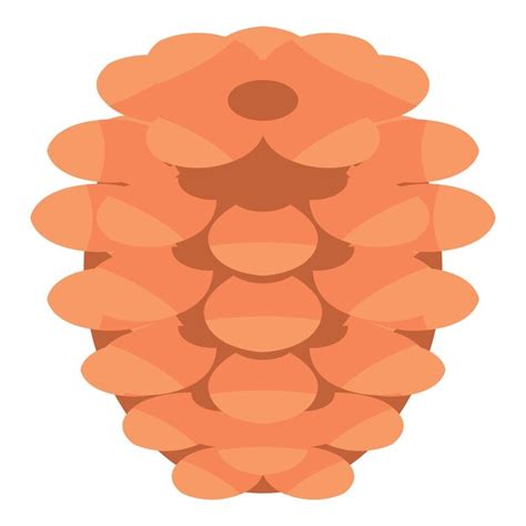 Premium Vector Conifer Pine Cone Icon Isometric Of Conifer Pine Cone