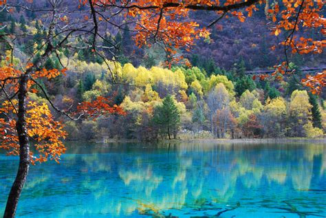 Believed To Be The Worlds Clearest Lake Blue Lake Nelson Nz