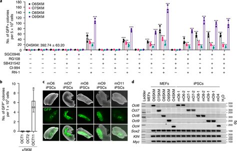 Inhibiting Multiple Epigenetic Pathways Augments Reprogramming