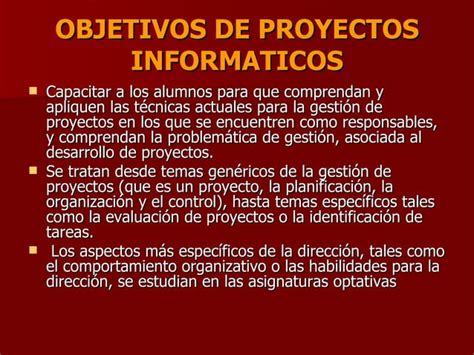 Presentacion Proyectos Informaticos Ppt