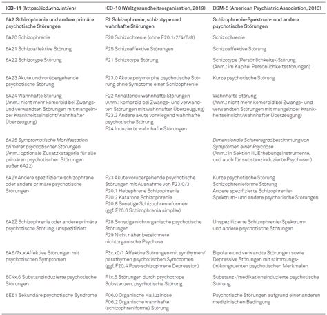 Skript F R Den Systemblock Psyche Schizophrenie Diagnostik