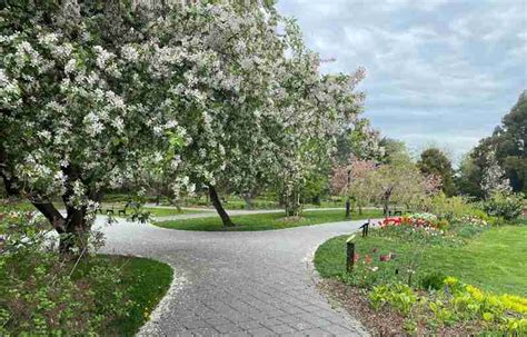 Queens Botanical Garden: A Floral Oasis In NYC