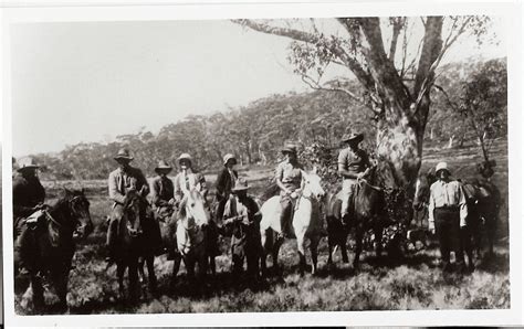 Dave's ACT: TIDBINBILLA BRUMBIES