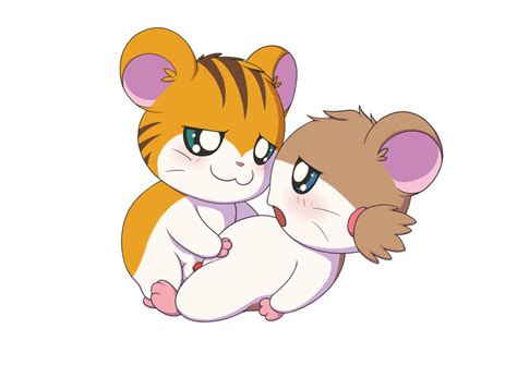 Rule 34 1boy 1girls Balls Blush Female Feral Feral On Feral Hamster Hamtaro Series Male Male