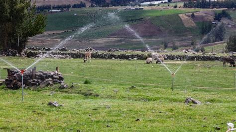 MIDAGRI Inaugura Sistema De Riego Cusibamba En Ayacucho Para Impulsar A