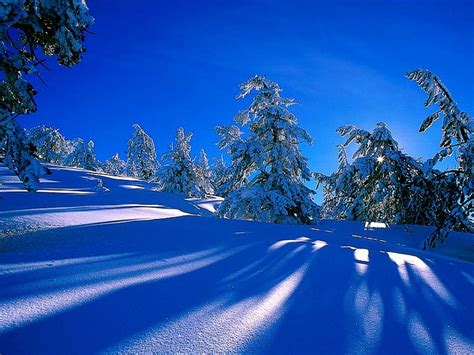 Fondo De Pantalla Bonito Nieve Invierno Paisajes Fondo