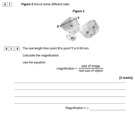 AQA GCSE Biology Past Papers Students Room