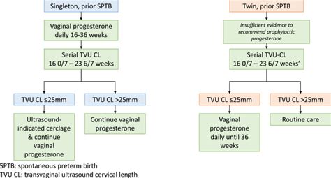 Vaginal Progesterone For The Prevention Of Recurrent Spontaneous